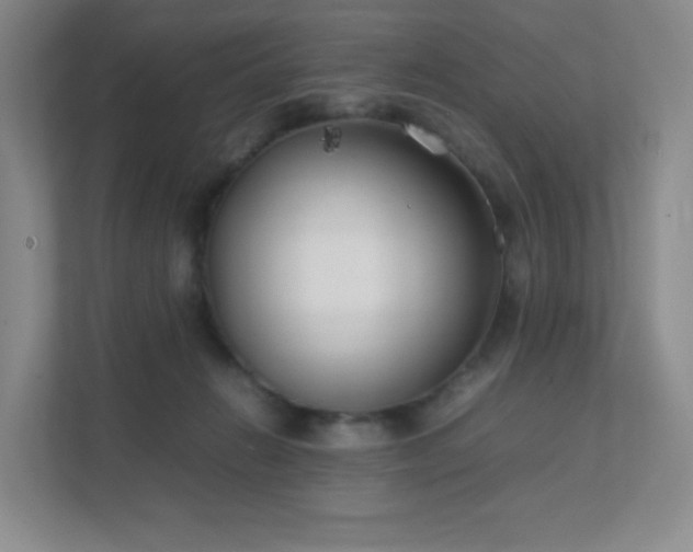 X0000111500270200907211036