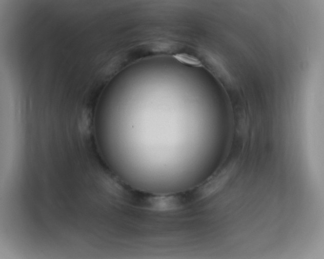 X0000111500273200907211036