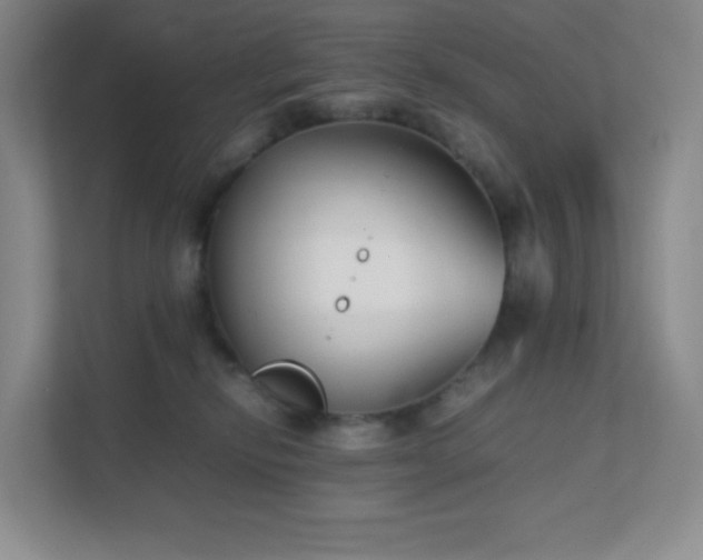 X0000111500278200907211037