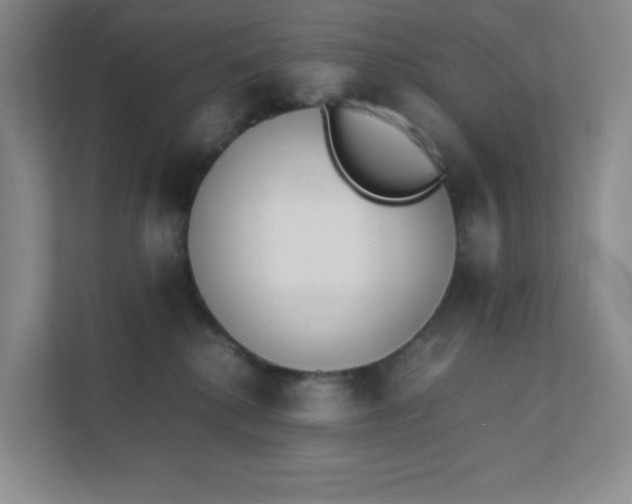 X0000111500280200907211037