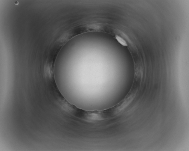 X0000111500285200907211037