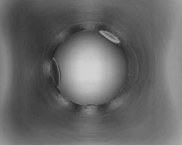 X0000111500288200907211037