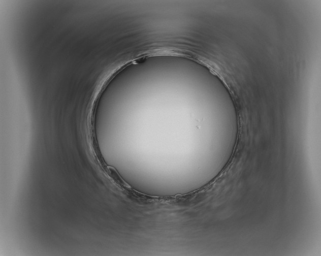 X0000111500289200907211036