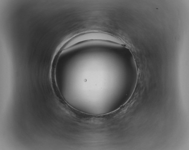 X0000111500292200907211036