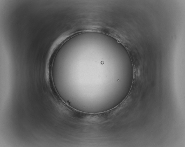 X0000111500294200907211036