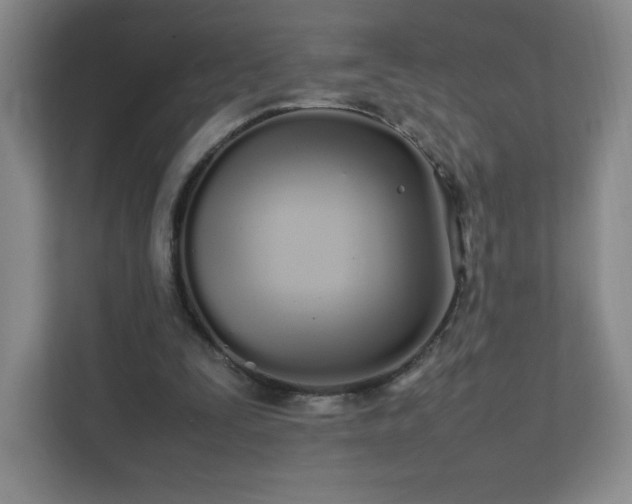 X0000111500295200907211036