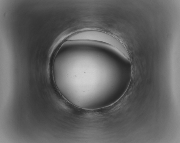 X0000111500296200907211036