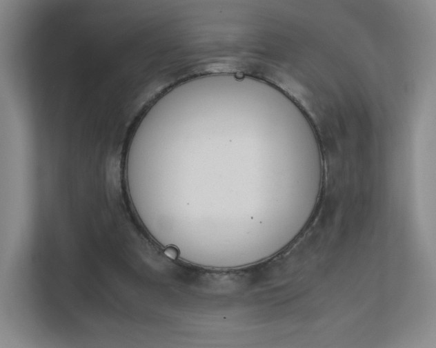 X0000111500297200907211036