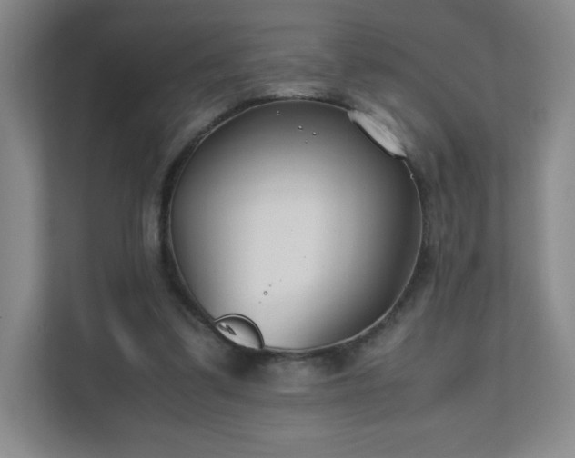 X0000111500299200907211036