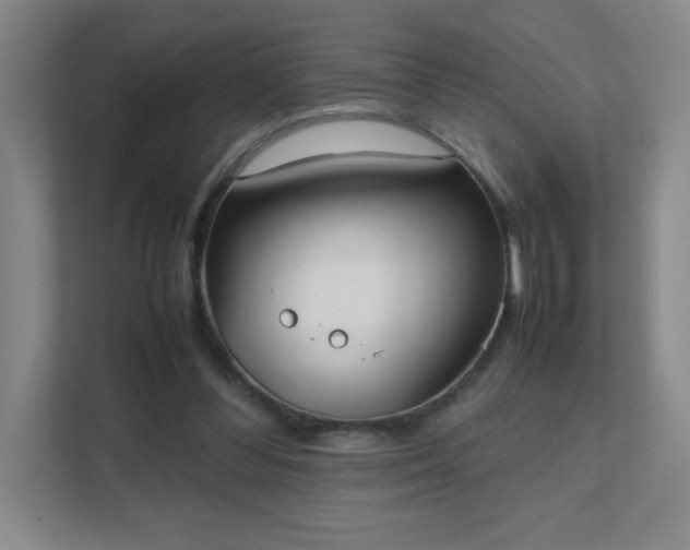 X0000111500300200907211036