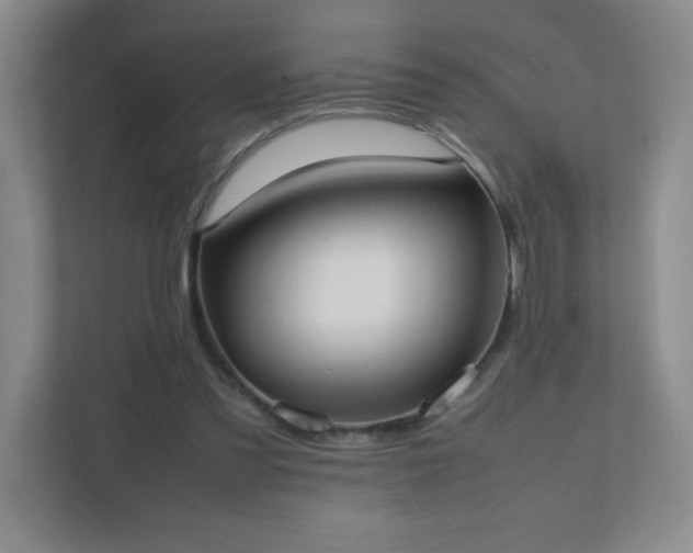 X0000111500301200907211036