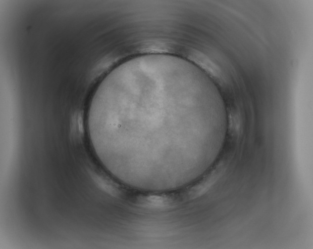 X0000111500302200907211036