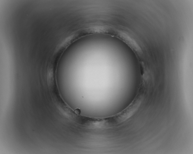 X0000111500306200907211036