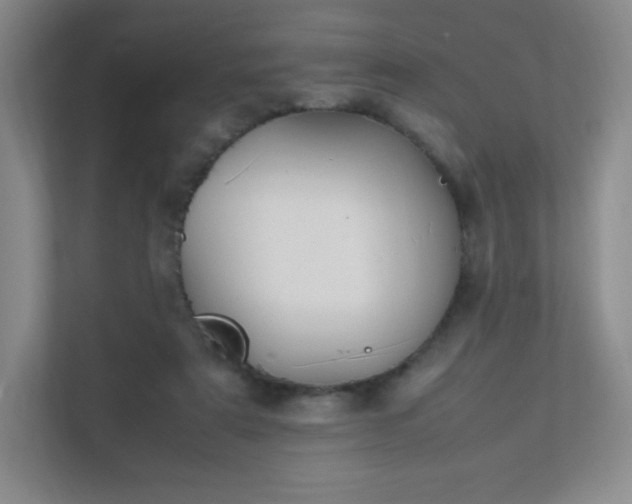 X0000111500307200907211036