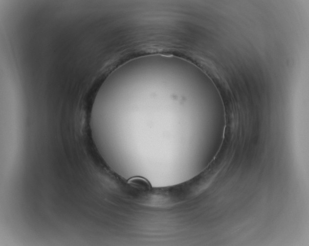 X0000111500308200907211036