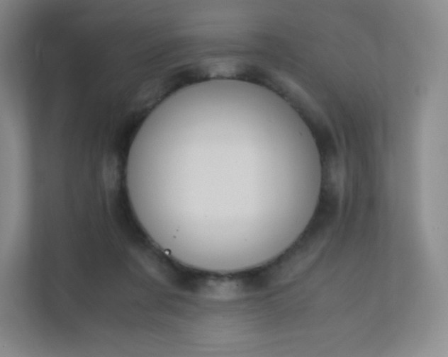 X0000111500311200907211036