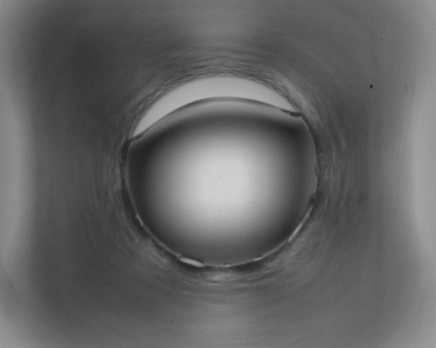 X0000111500313200907211036