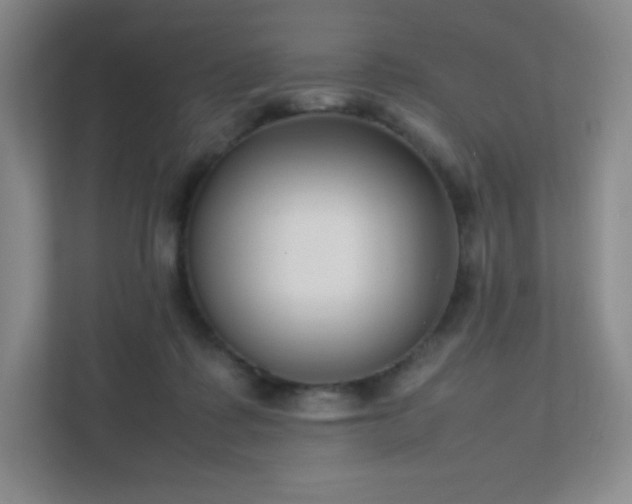 X0000111500315200907211036