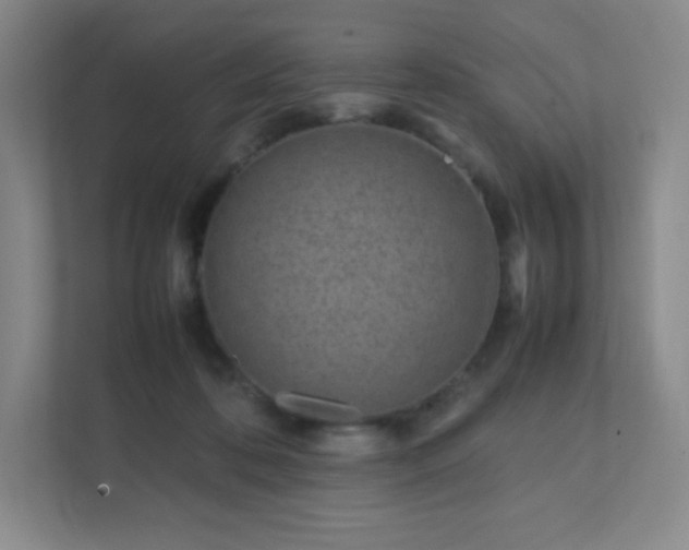 X0000111500316200907211036