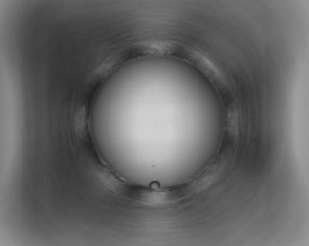 X0000111500318200907211036