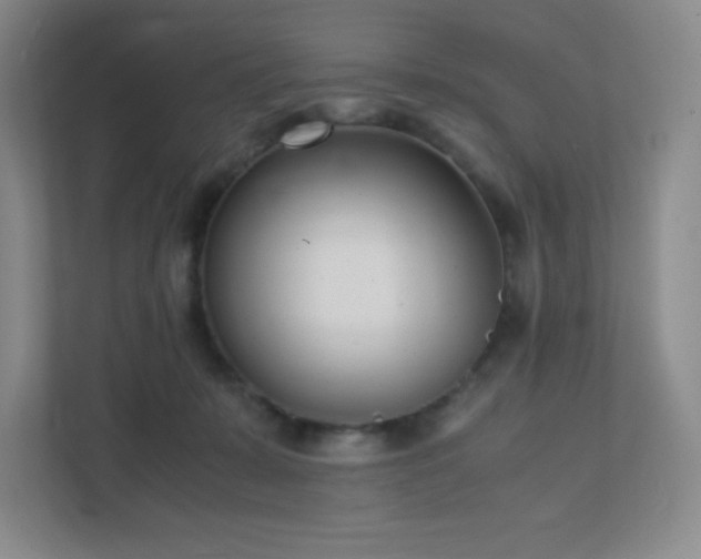 X0000111500319200907211036