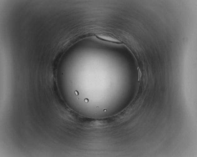 X0000111500320200907211036