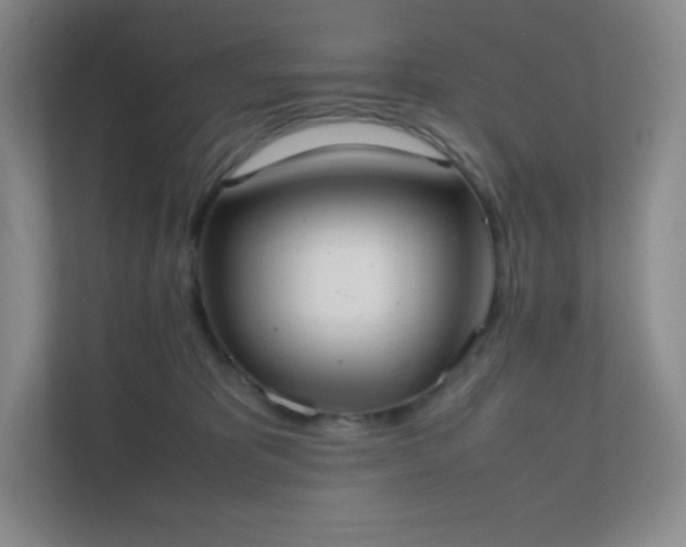 X0000111500325200907211036