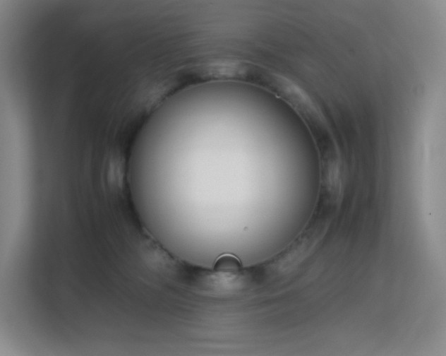 X0000111500326200907211036