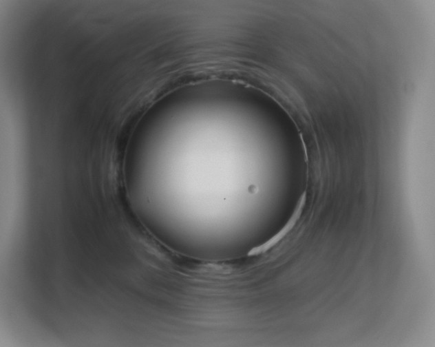 X0000111500328200907211036