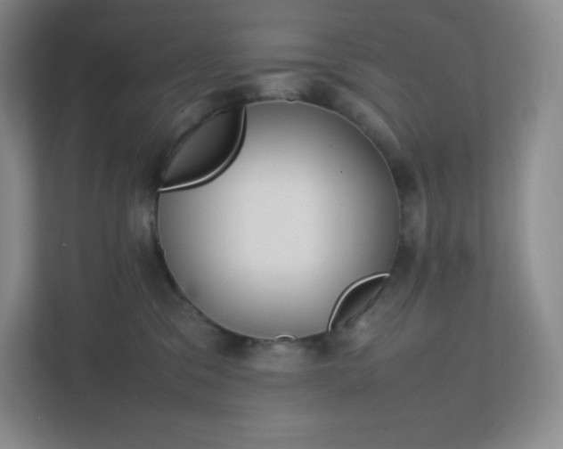 X0000111500329200907211035