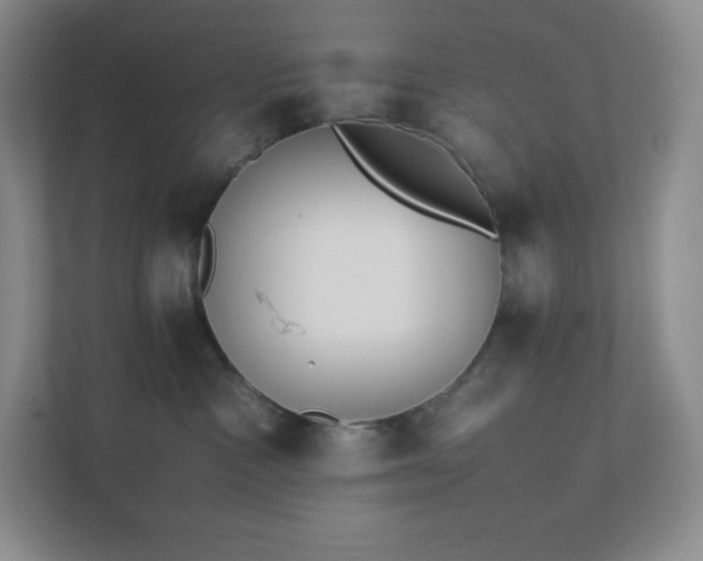 X0000111500333200907211035