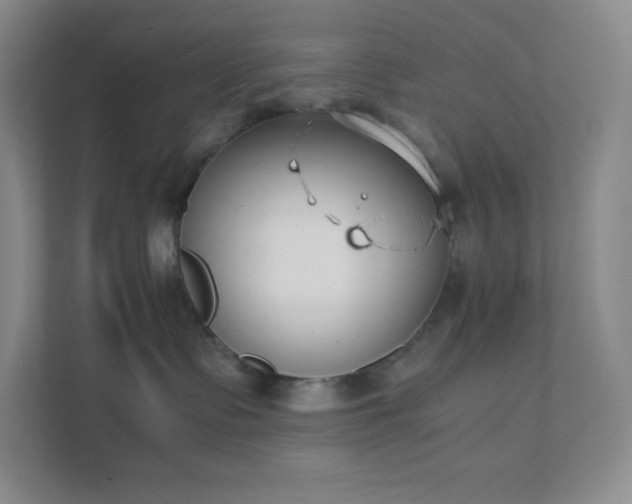 X0000111500335200907211035