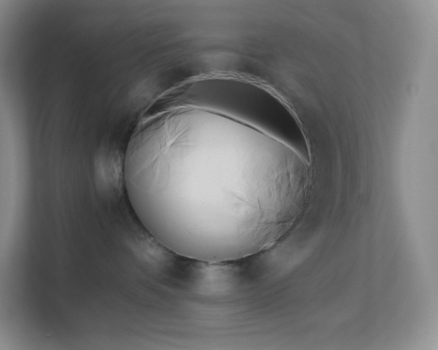 X0000111500336200907211035