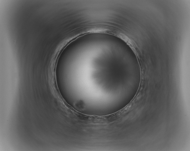 X0000111500337200907211035