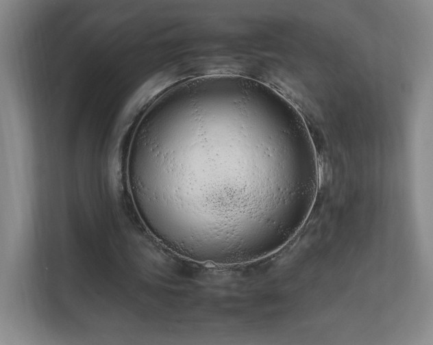 X0000111500339200907211035