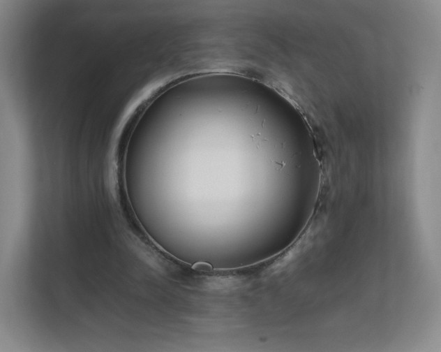 X0000111500342200907211035