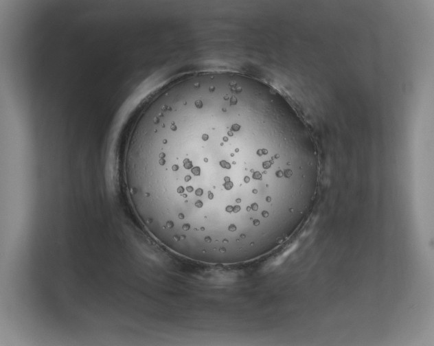 X0000111500343200907211035