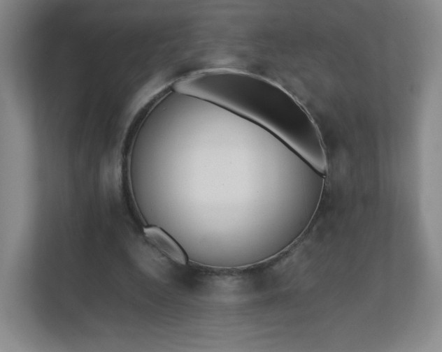 X0000111500344200907211035