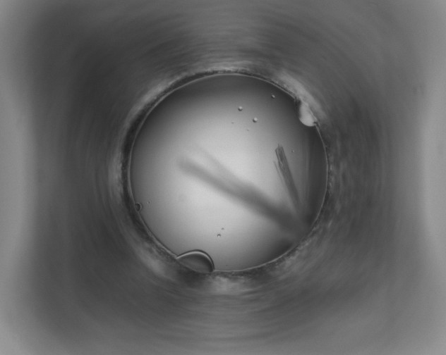 X0000111500346200907211035