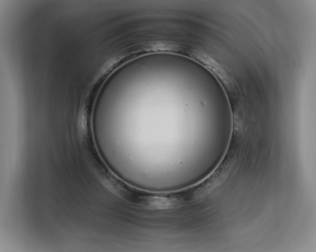 X0000111500347200907211035