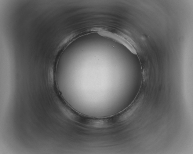 X0000111500349200907211035