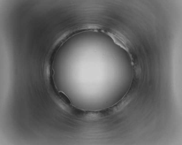 X0000111500350200907211035