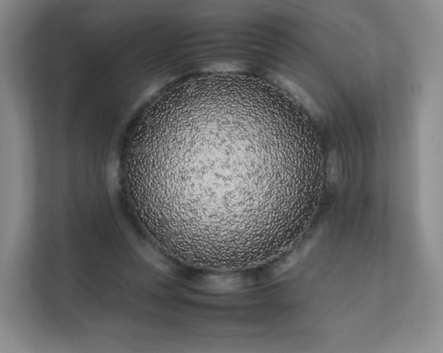 X0000111500351200907211035