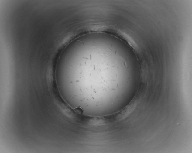 X0000111500354200907211035