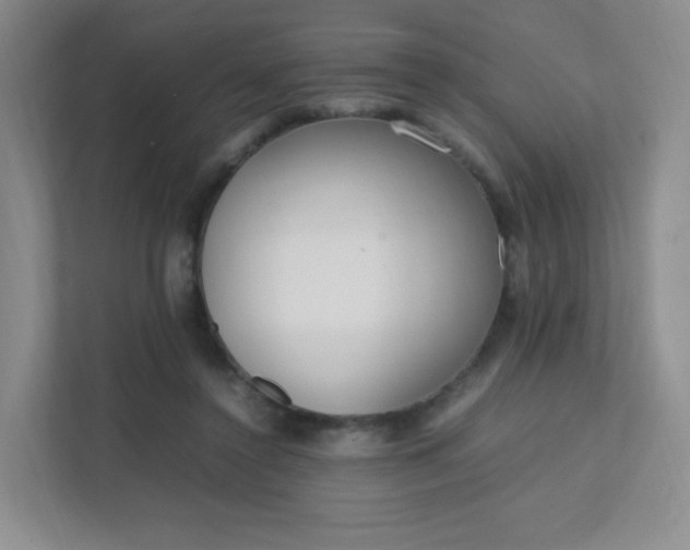 X0000111500356200907211035