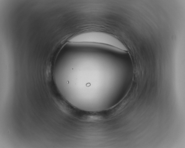 X0000111500360200907211035