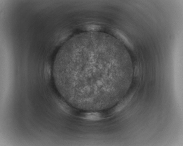 X0000111500363200907211035