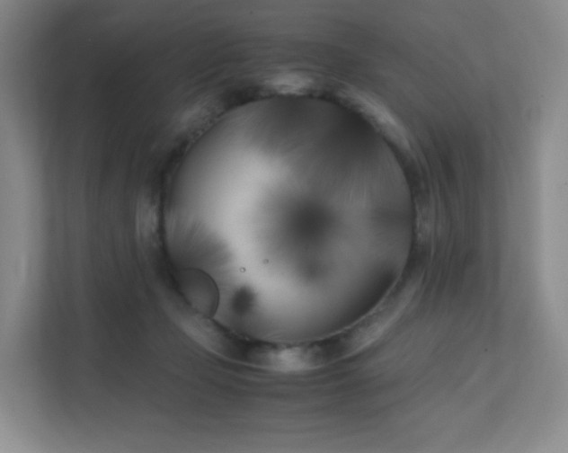 X0000111500365200907211035