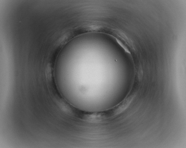 X0000111500366200907211035