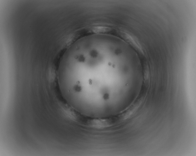 X0000111500367200907211035